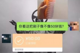 翠峦为什么选择专业追讨公司来处理您的债务纠纷？